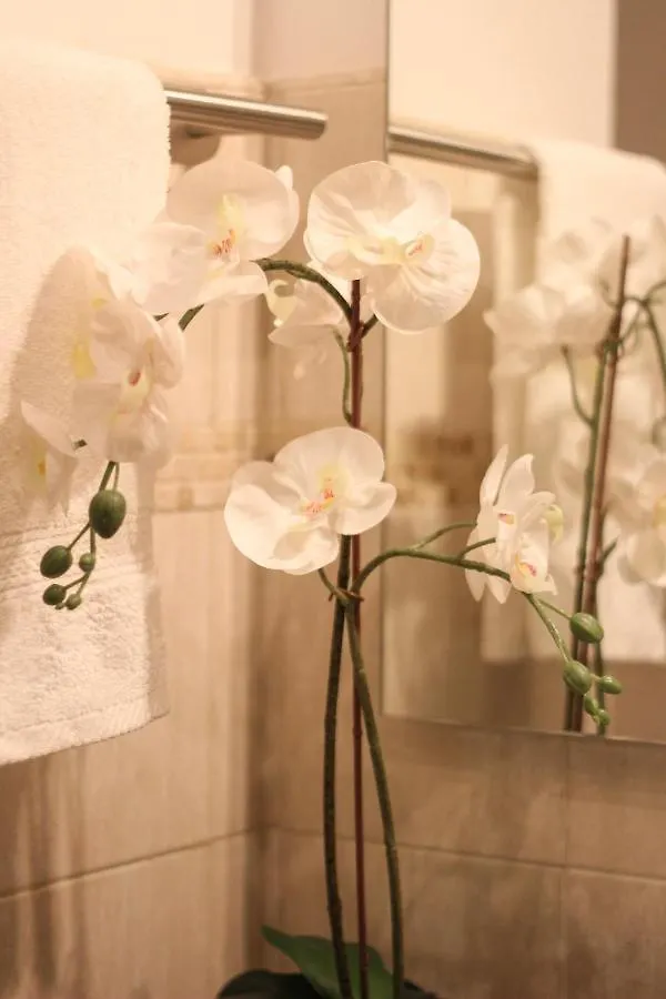 La Casa Dell'Uva, Marino Apartment
